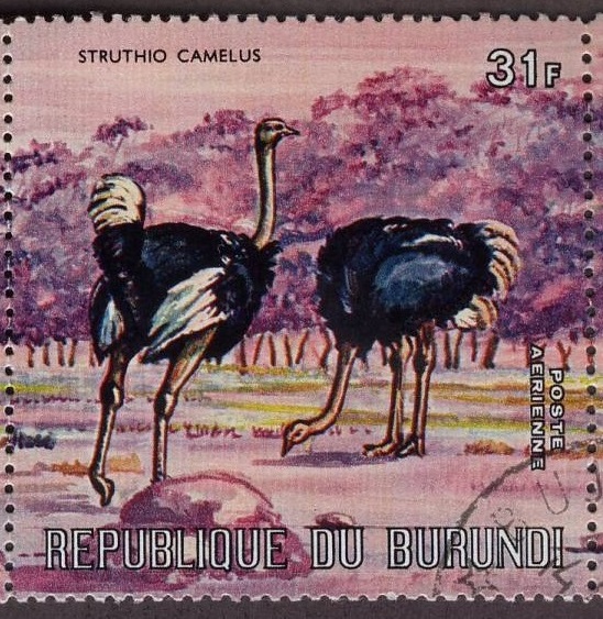 Burundi 1971 Ostrich Postage Stamp
