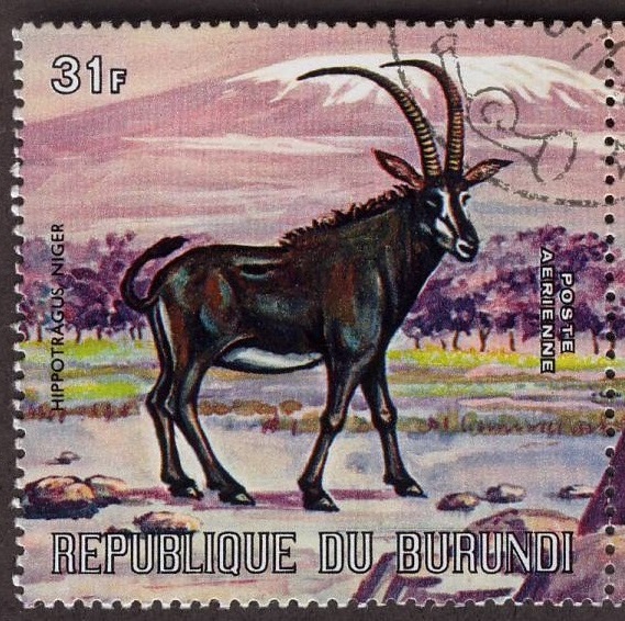 Burundi 1971 Sable Antelope Postage Stamp