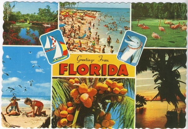 Vintage Florida Postcards